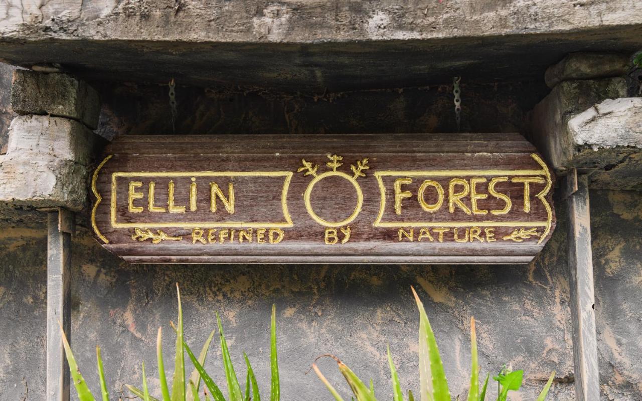 Ellin Forest Karaoke & Pool Resort Bukit Tinggi بينتونغ المظهر الخارجي الصورة