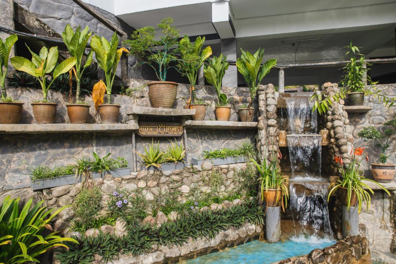 Ellin Forest Karaoke & Pool Resort Bukit Tinggi بينتونغ المظهر الخارجي الصورة